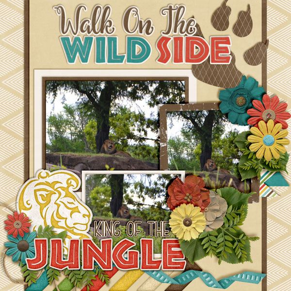 King-of-the-Jungle1