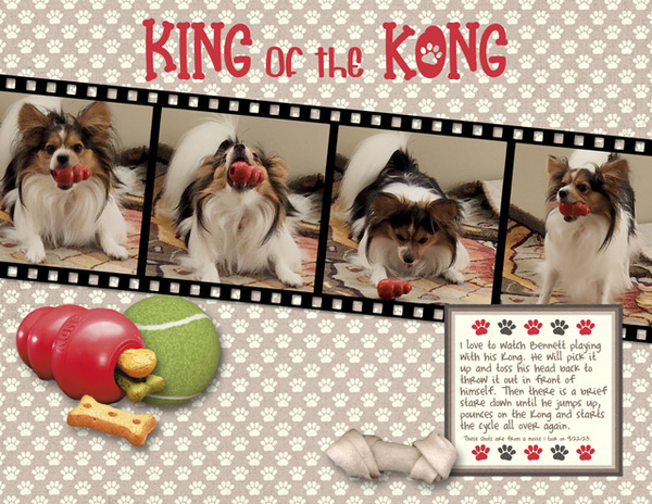King of the Kong