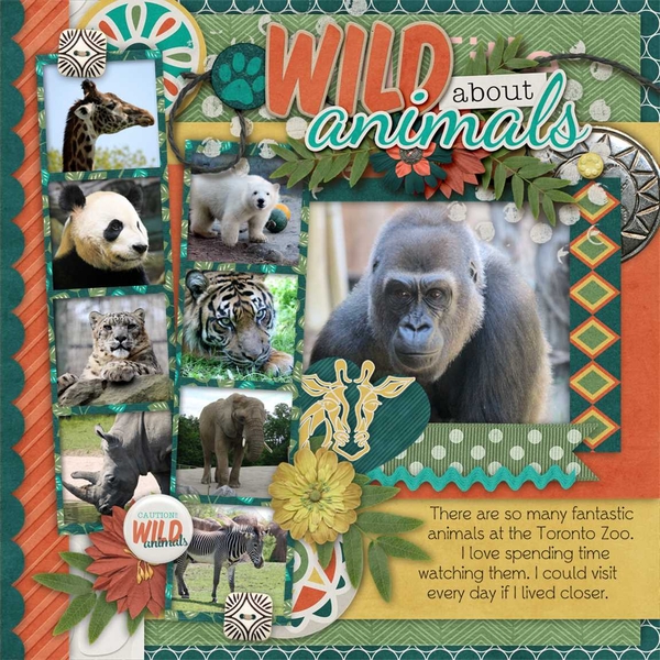 Kingdom Of Animals