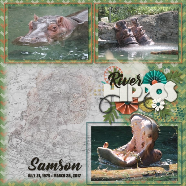 Kingdom Of Animals