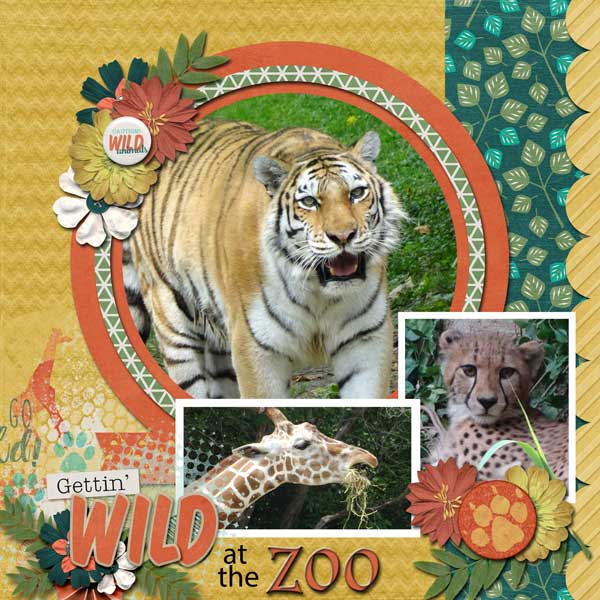 Kingdom Of Animals