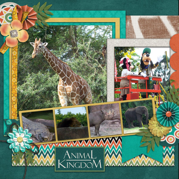 kingdomofanimals_altimasport