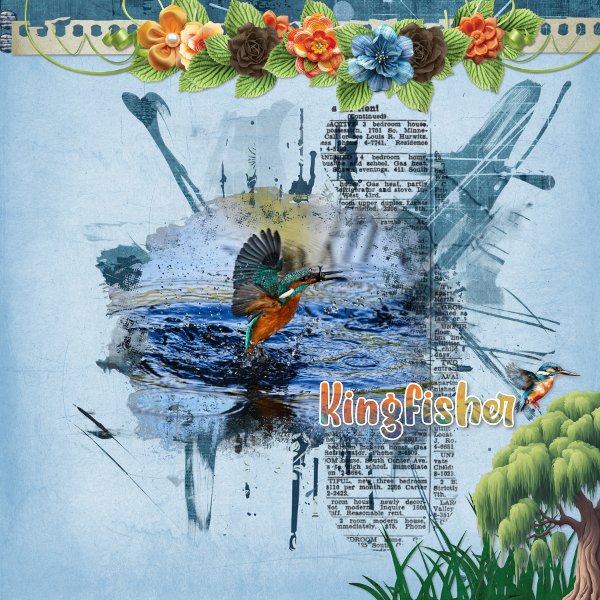 kingfisher.jpg