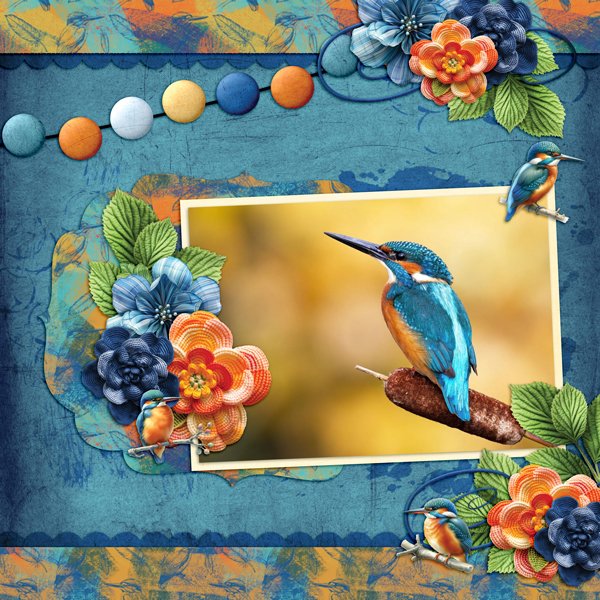 Kingfisher
