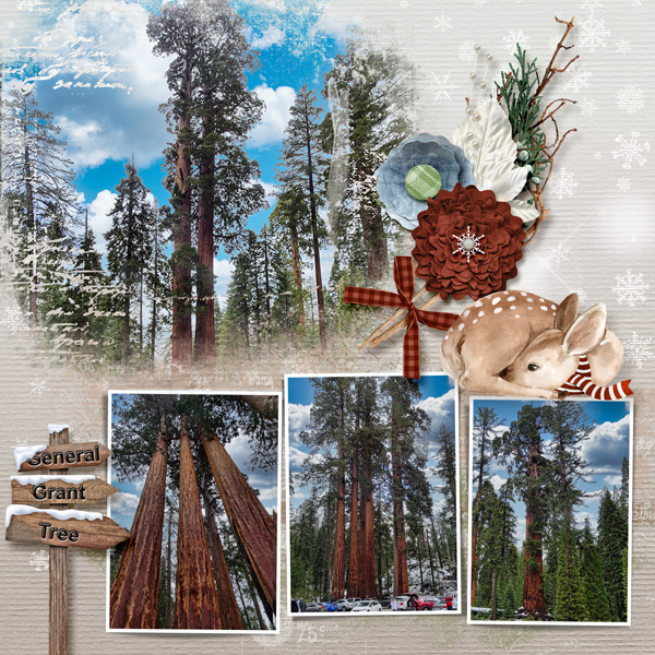 Kings Canyon 2