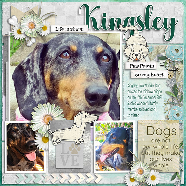 Kingsley