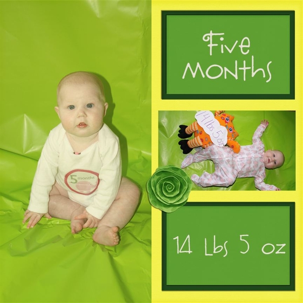 Kinsey 5 mo