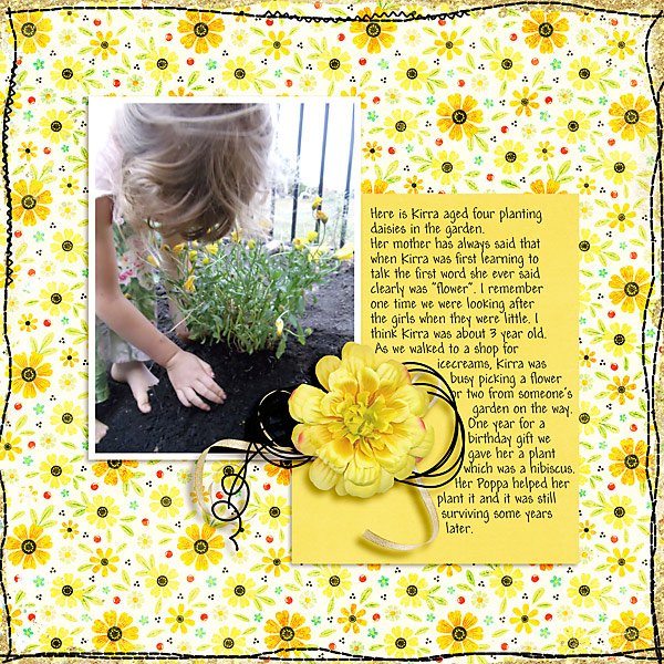 Kirra planting daisies