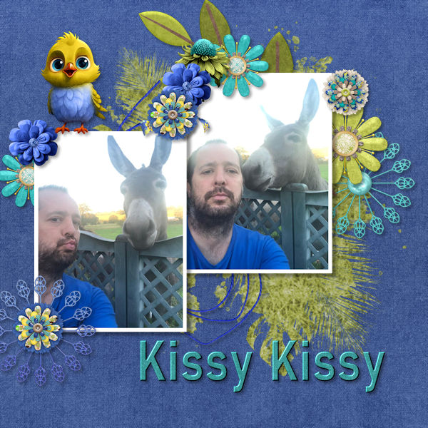 Kissy Kissy