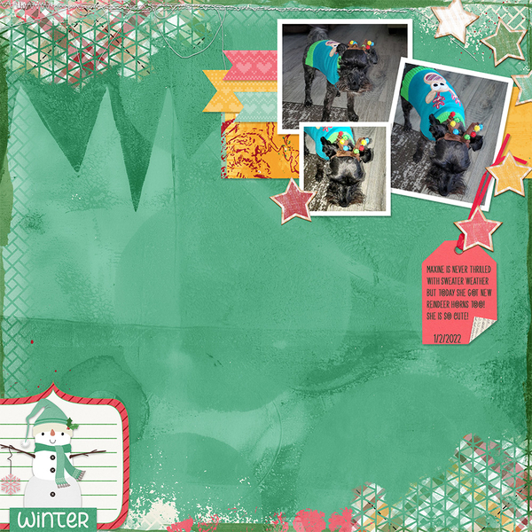 Kit 2022 December Bundle from Designs by Connie Prince