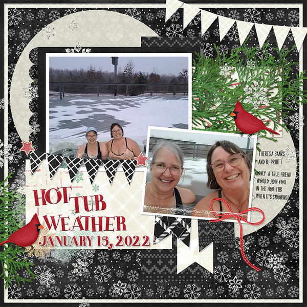 Kit 2022 December Bundle from Designs by Connie Prince