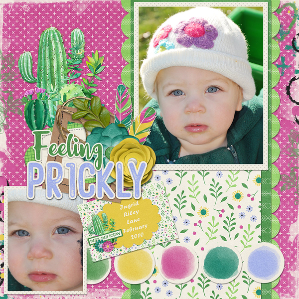 Kit by Connie Prince Prickly