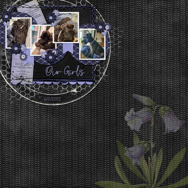 Kit-Paint-Chip-Bluebell--Template-White-Space-Vol-83-3-2022