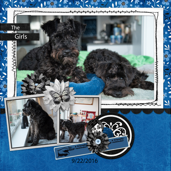 kit Paint Chip Cobalt Blue By Designs by Connie Prince
