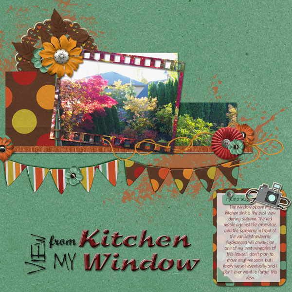 Kitchen Window
