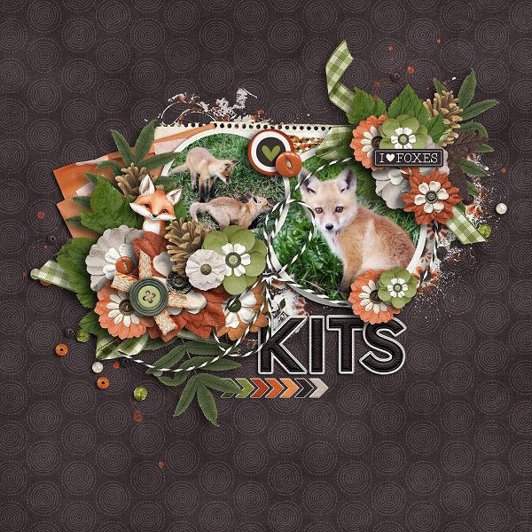 Kits