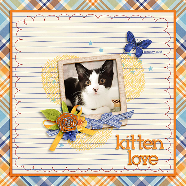 kitten love