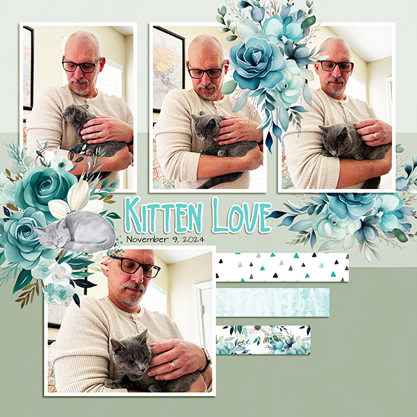 Kitten Love