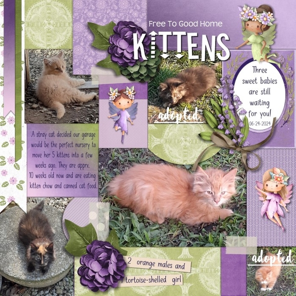 Kittens