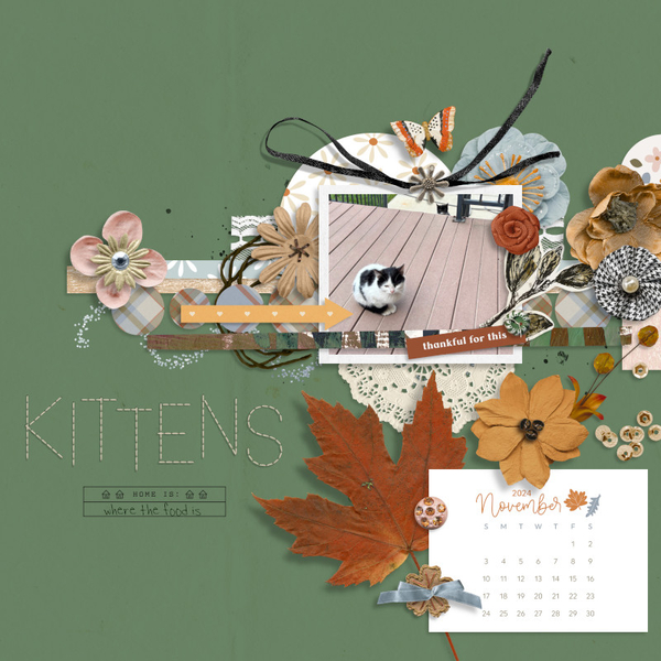 Kittens