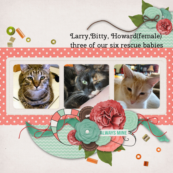 Kitties!