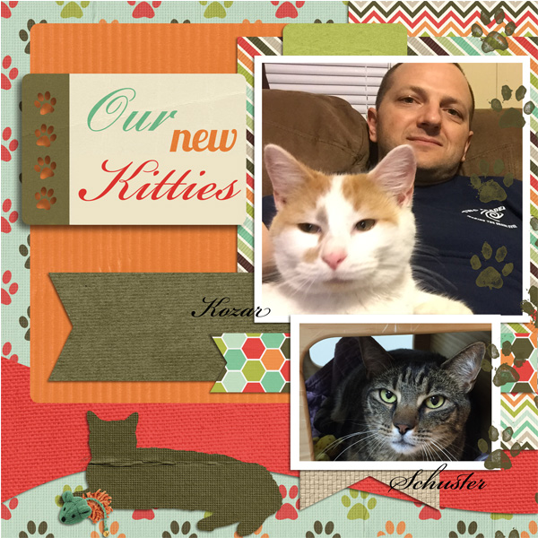 Kitties
