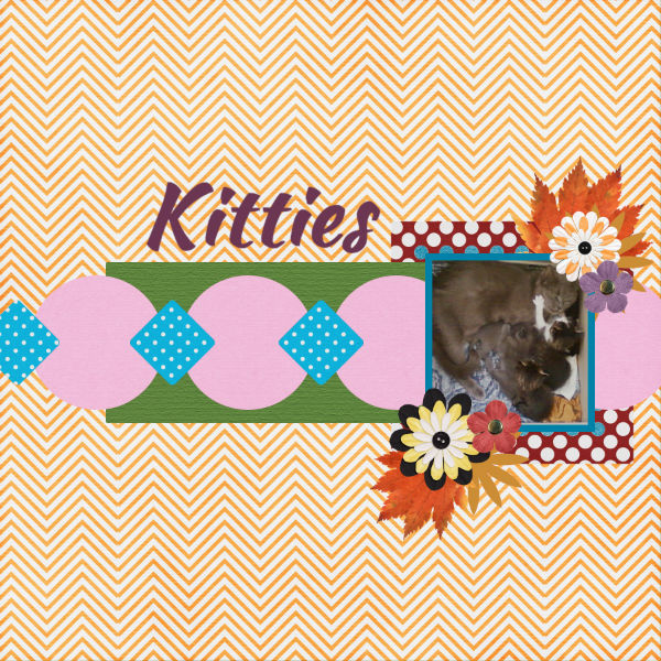 Kitties