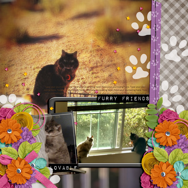 Kitties