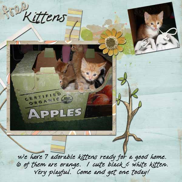 Kitty Ad