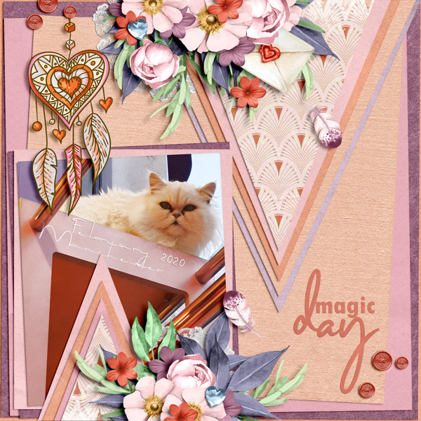 Kitty Cafe February 2020