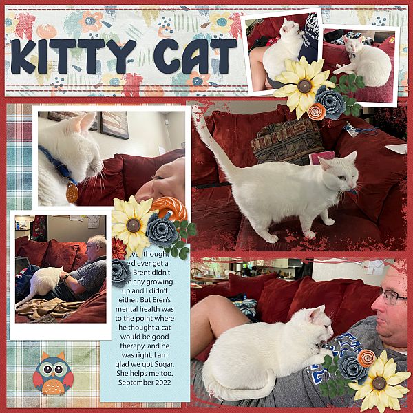 Kitty Cat