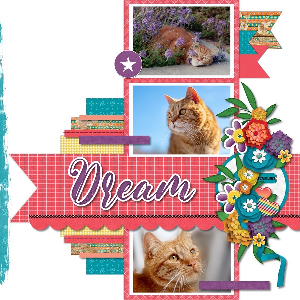 Kitty Dream