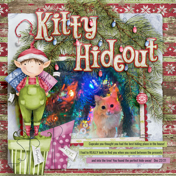 Kitty Hide-out