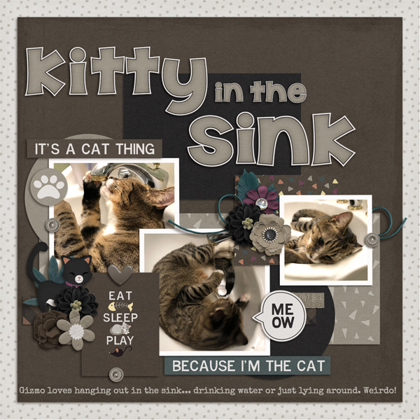 Kitty in the Sink