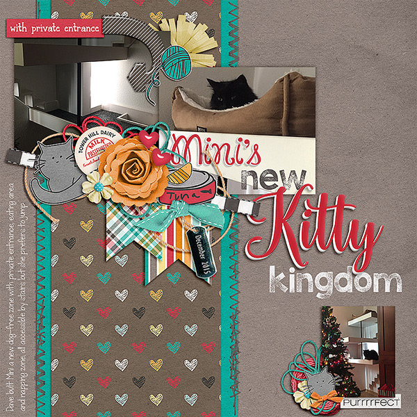 Kitty Kingdom