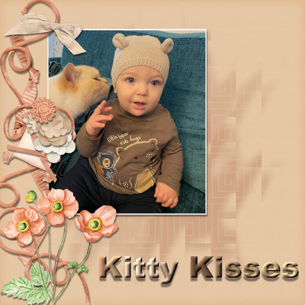 Kitty Kisses