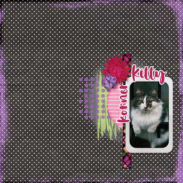 Kitty Korner