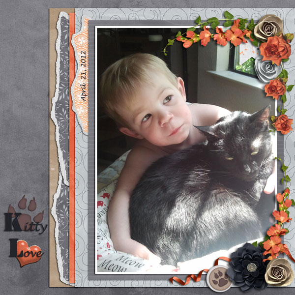 kitty love