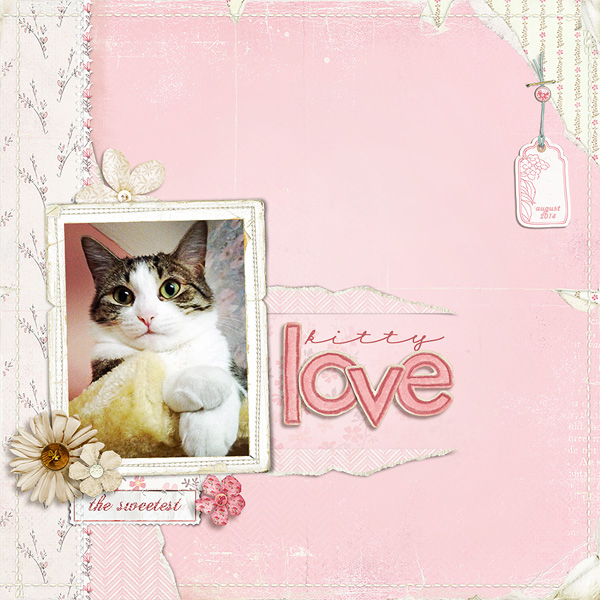 kitty love