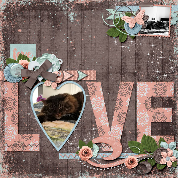 Kitty Love