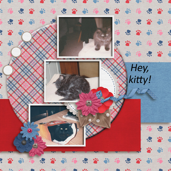 Kitty love