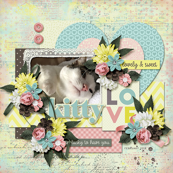 kitty love