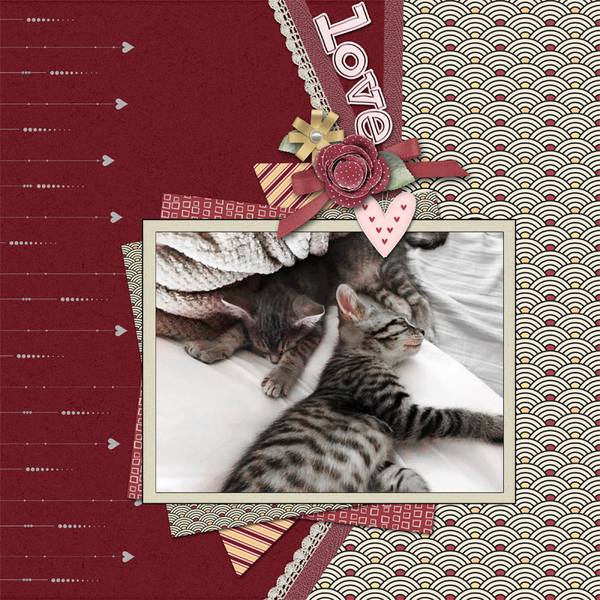 Kitty Love