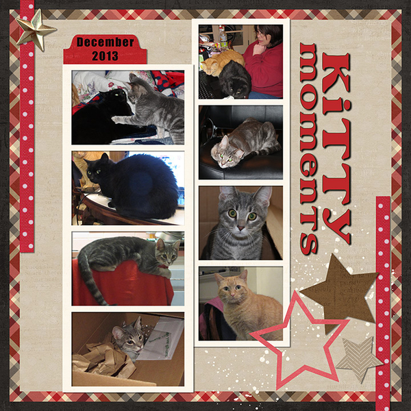 Kitty Moments