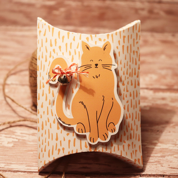 Kitty Pillow gift box