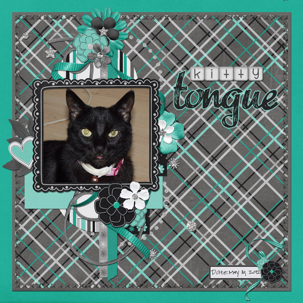 kitty tongue