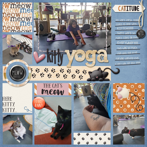 kitty yoga