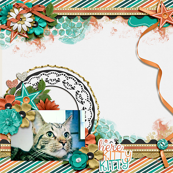 Kitty
