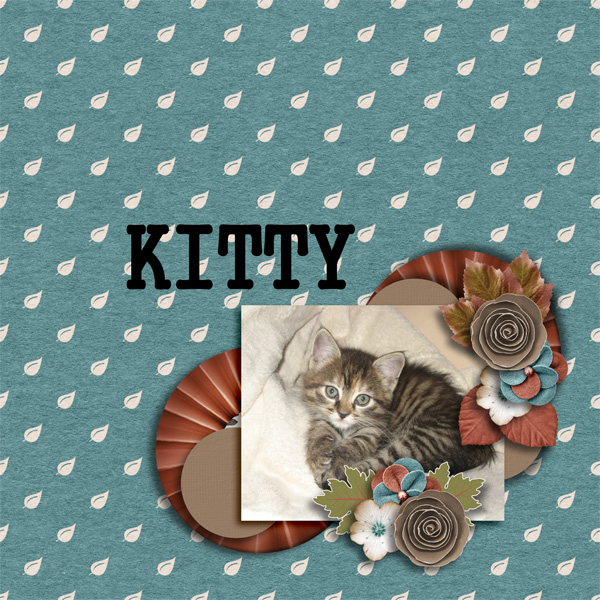 Kitty