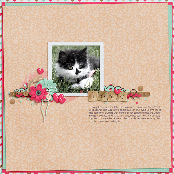 Kitty